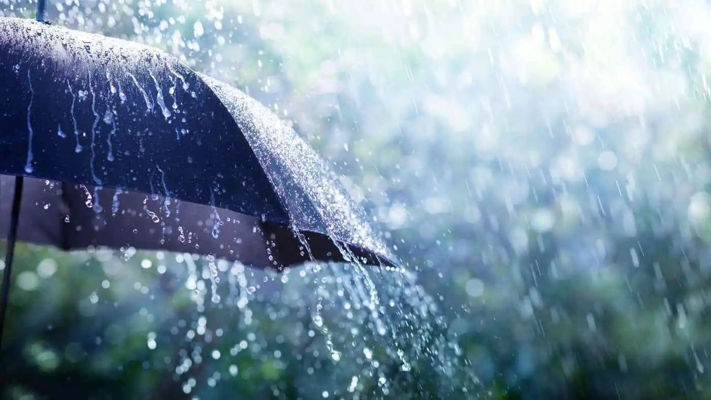 Tra pioggia e caldo estivo