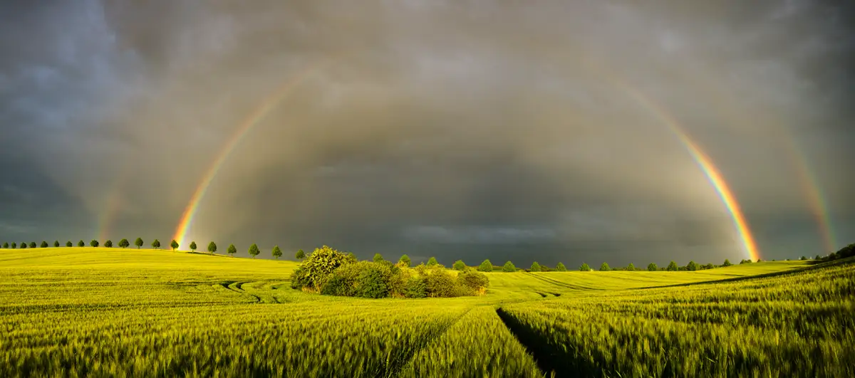 Pioggia o sole in questo primo fine settimana di Luglio?