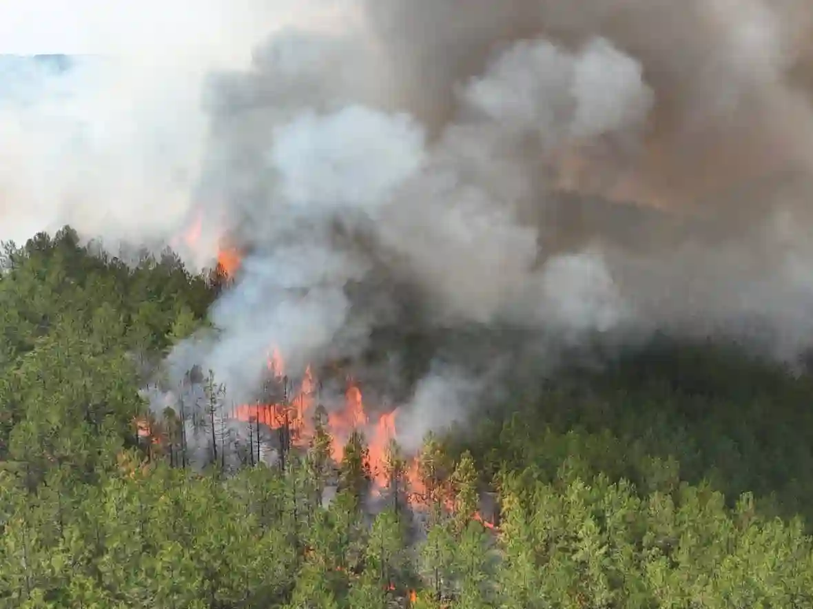Gli incendi che il 28 luglio 2025 stanno devastando il Sud-Est Europa e i Balcani rappresentano una crisi di portata regionale, esacerbata da un’ondata di calore senza precedenti