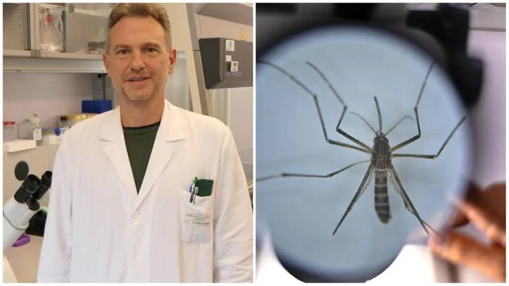 Chikungunya a Verona