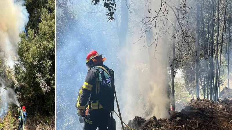 Squadre antincendio impegnate nelle operazioni di spegnimento in una zona montana