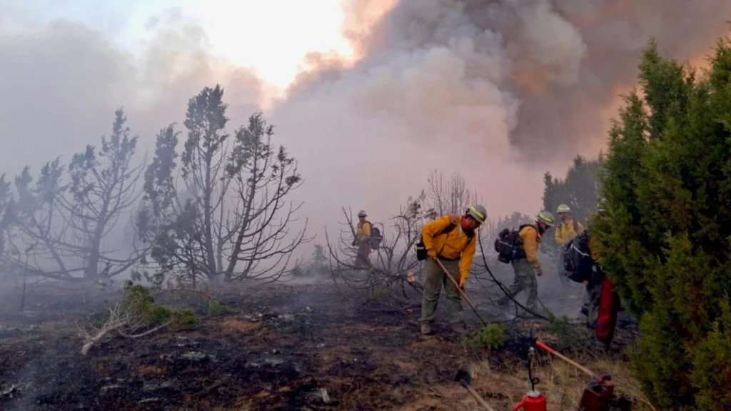 Squadre antincendio al lavoro in un’area boschiva interessata dalle fiamme