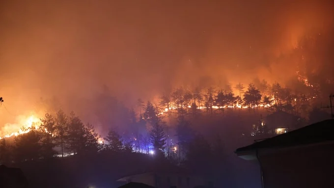 Squadre antincendio impegnate nella bonifica di un bosco piemontese