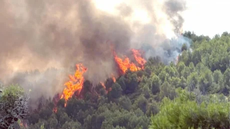 Incendi nel Gargano, roghi sotto controllo a Peschici: turisti rientrati nelle strutture