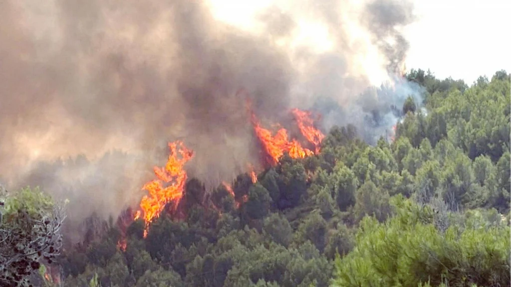 Incendi nel Gargano e operazioni di spegnimento