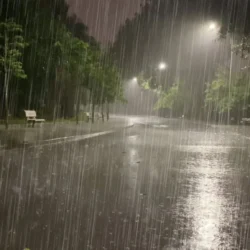 Maltempo in Emilia-Romagna, temporale notturno tra Forlivese e Riminese: raffiche fino a 70 km/h