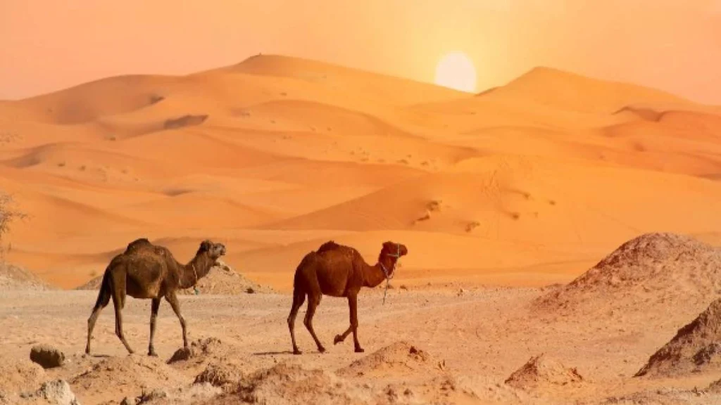 Caldo africano e anticiclone subtropicale sul Mediterraneo a luglio