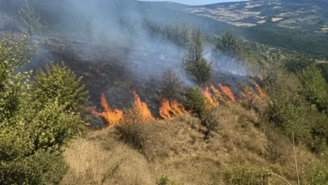 Ascoli Piceno, segnalato un incendio tra Poggio di Bretta e Vallesenzana: cosa si è verificato