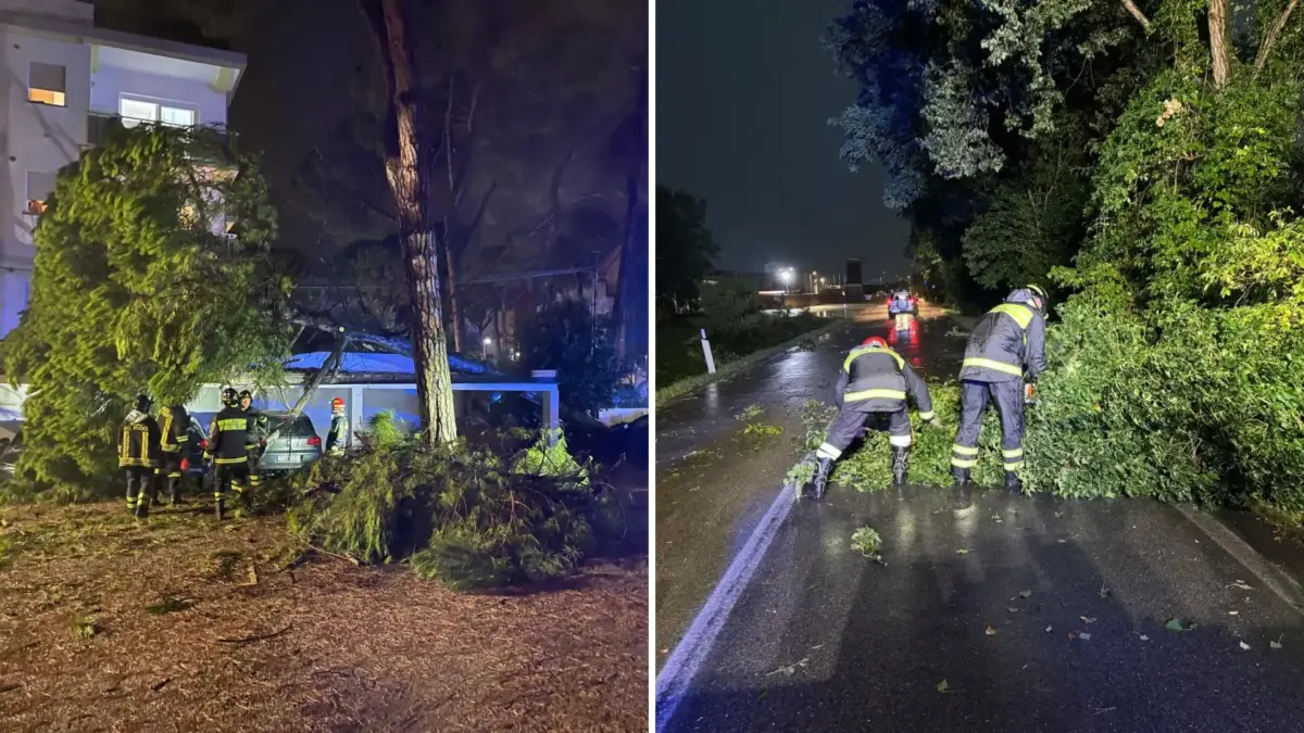 Alberi caduti dopo il temporale in Friuli