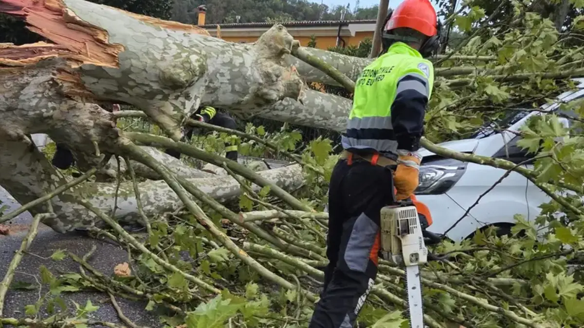 Interventi dei Vigili del Fuoco dopo il maltempo in Veneto
