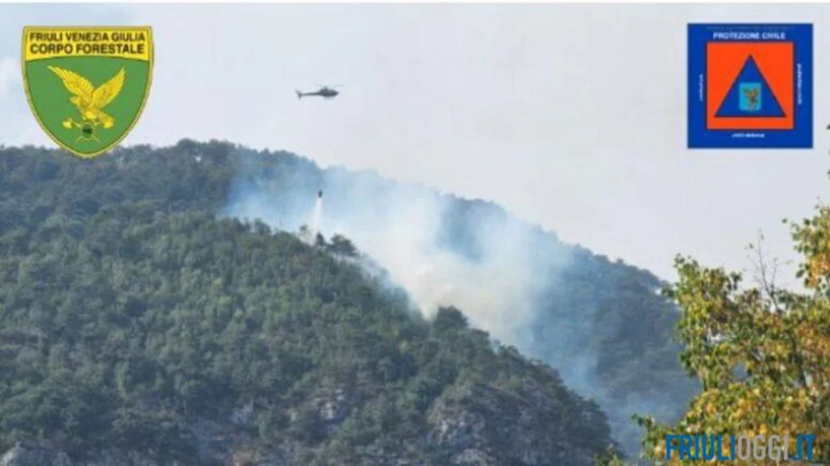 Fumo sopra un’area boschiva colpita da un incendio