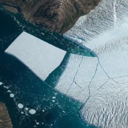 Ghiacciaio Petermann, in Groenlandia si stacca una massa di ghiaccio da 76 km²