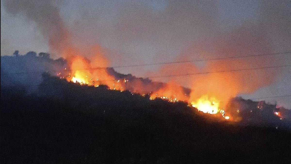 Gravina in Puglia, vasto incendio nella Murgia: bruciati oltre 50 ettari