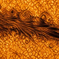 Vortici sulla fotosfera