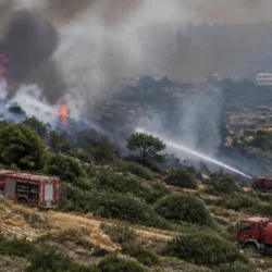 Incendio boschivo sulle colline di Salamina