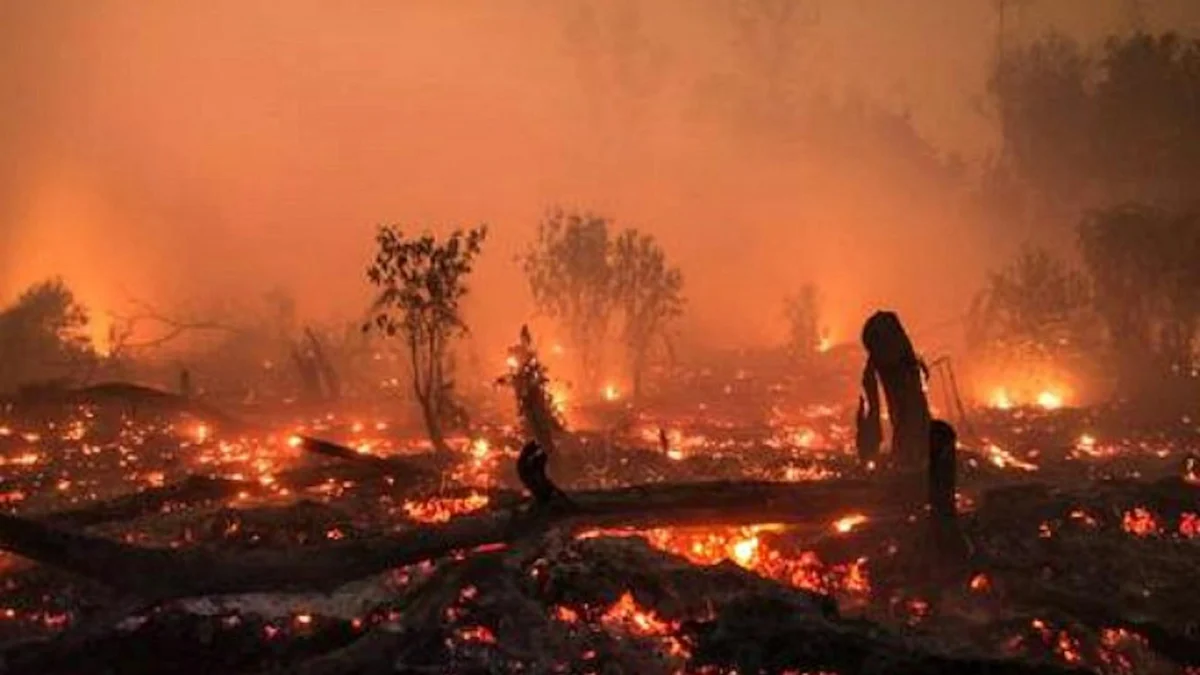 Incendio boschivo in Indonesia durante la stagione secca