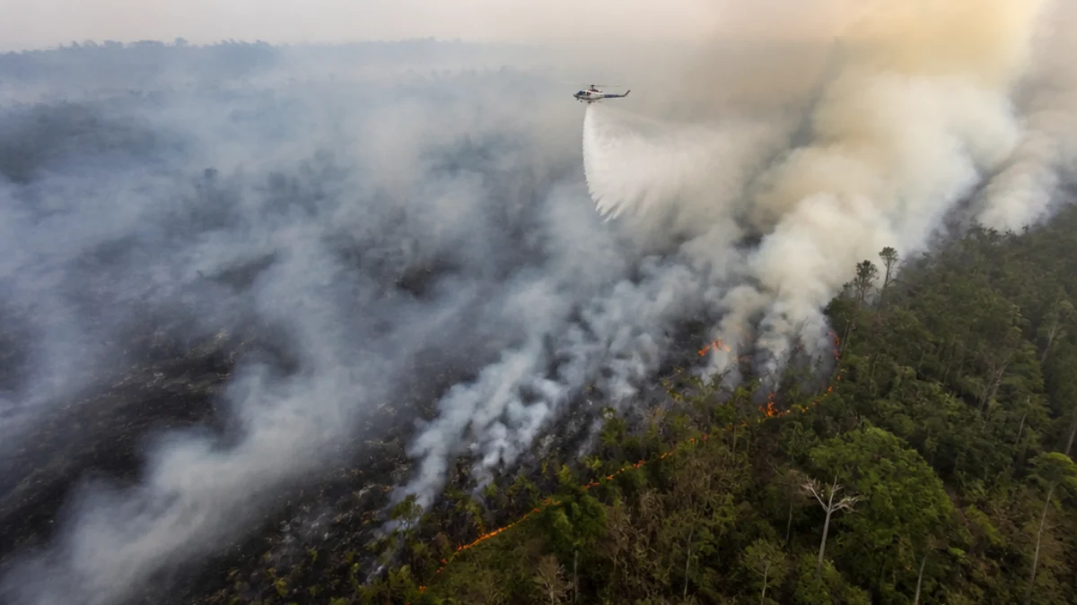Incendi forestali in Indonesia con colonne di fumo