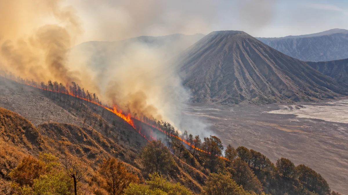 Incendio sui pendii del Monte Bromo in Indonesia