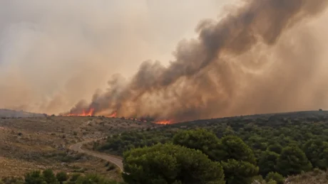 Incendio sull’Alta Murgia: il fuoco raggiunge Povera Vita e la Polveriera