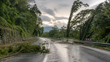 Maltempo in Friuli Venezia Giulia, allerta conclusa: il bilancio tra danni e strade chiuse