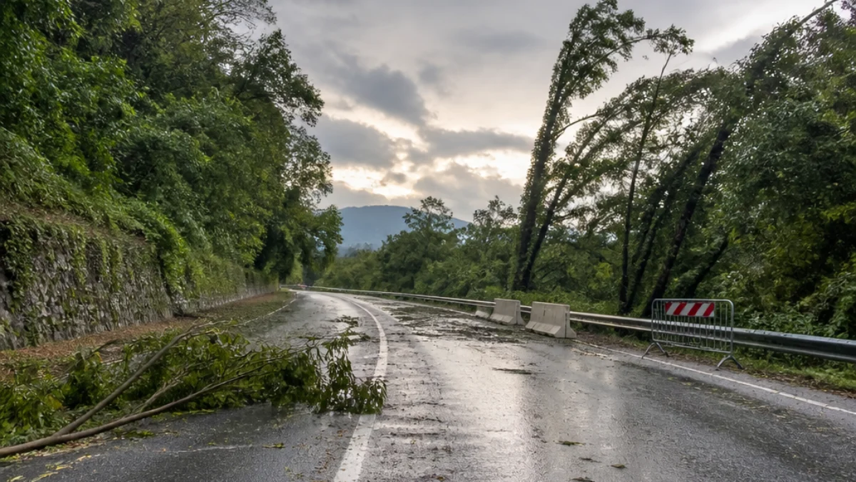 Strada del Friuli dopo il passaggio dei temporali