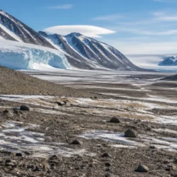 Suoli antartici contaminati