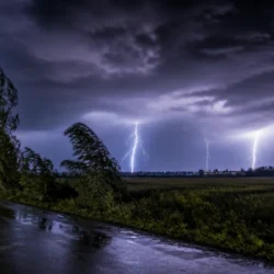 Notte di temporali in Friuli: 7mila fulmini, alberi caduti e danni nel Pordenonese