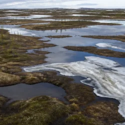 Permafrost siberiano tra laghi e vegetazione artica