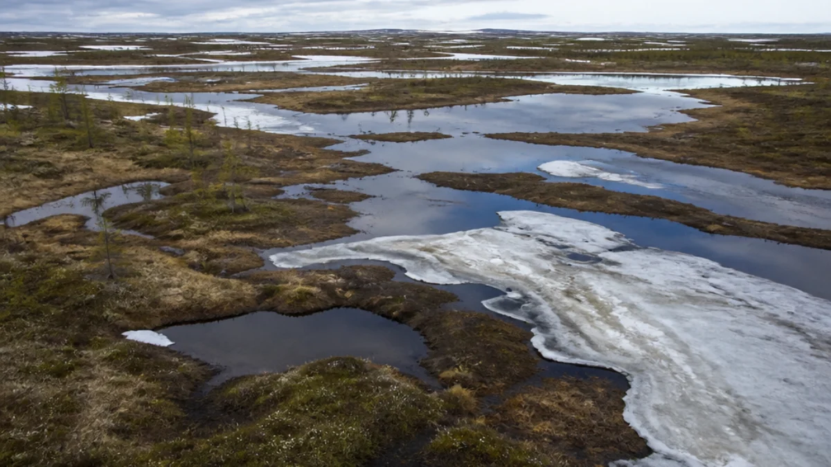 Permafrost siberiano tra laghi e vegetazione artica
