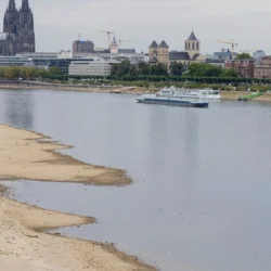 Reno in Germania durante la siccità