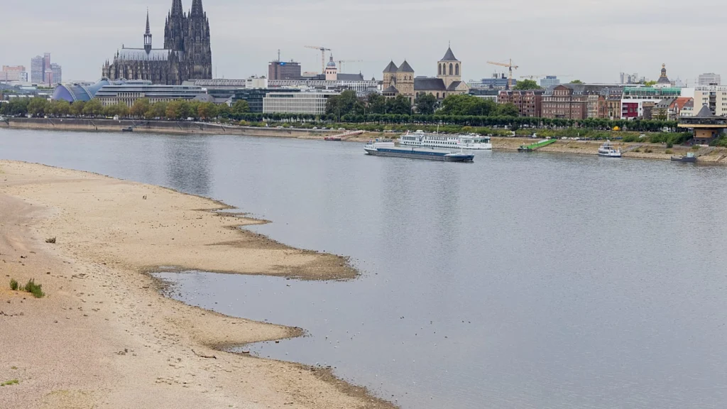 Reno in Germania durante la siccità