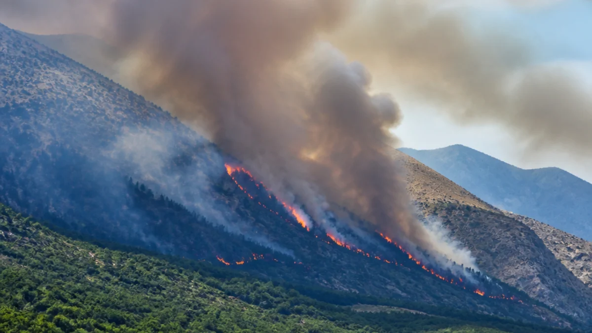 Incendio boschivo nell’area montana di Rocca di Cambio