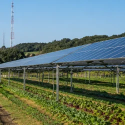 Agrivoltaico alle porte