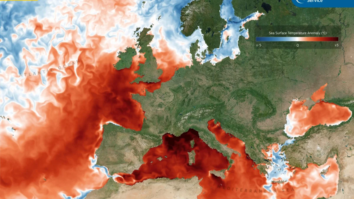 Agosto 2026, nuovo record climatico globale: caldo eccezionale anche negli oceani