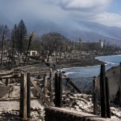 Incendi di Maui, dopo mesi uno studio rivela la presenza di metalli nei polmoni dei residenti