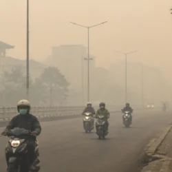 Incendi in Indonesia, il fumo aggrava i problemi respiratori a Pontianak
