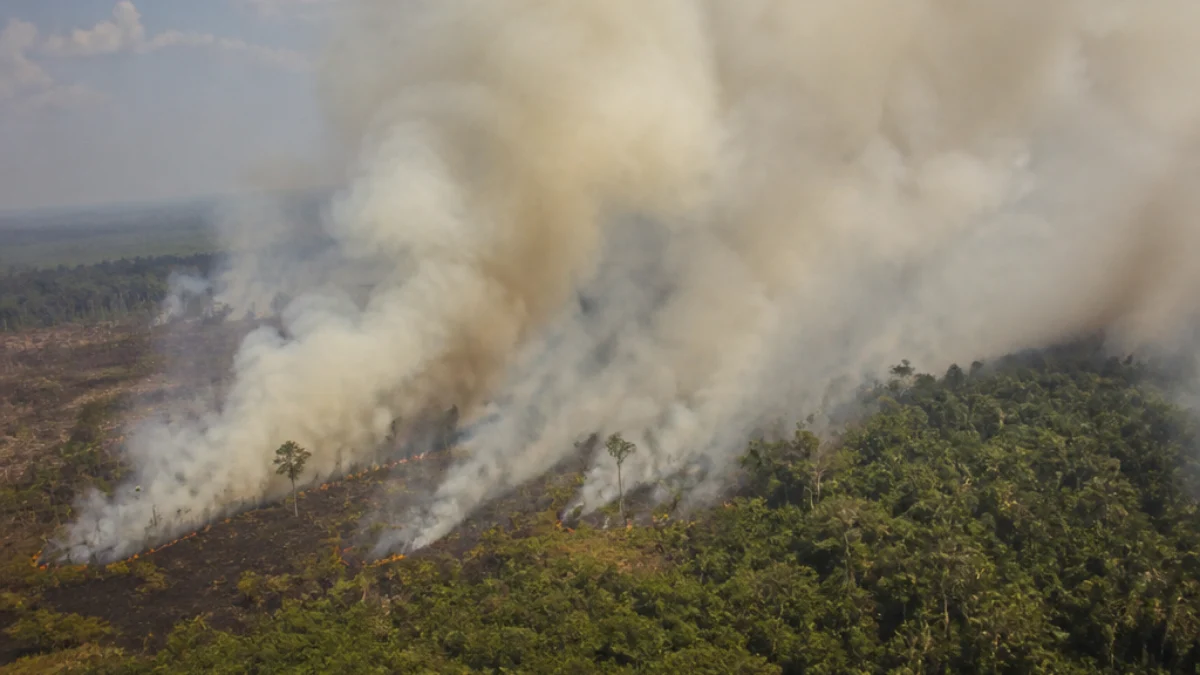 Incendi forestali e fumo nel Kalimantan indonesiano