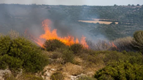 Incendi in Puglia, estate 2026 tra 3.376 roghi e 15.726 ettari bruciati