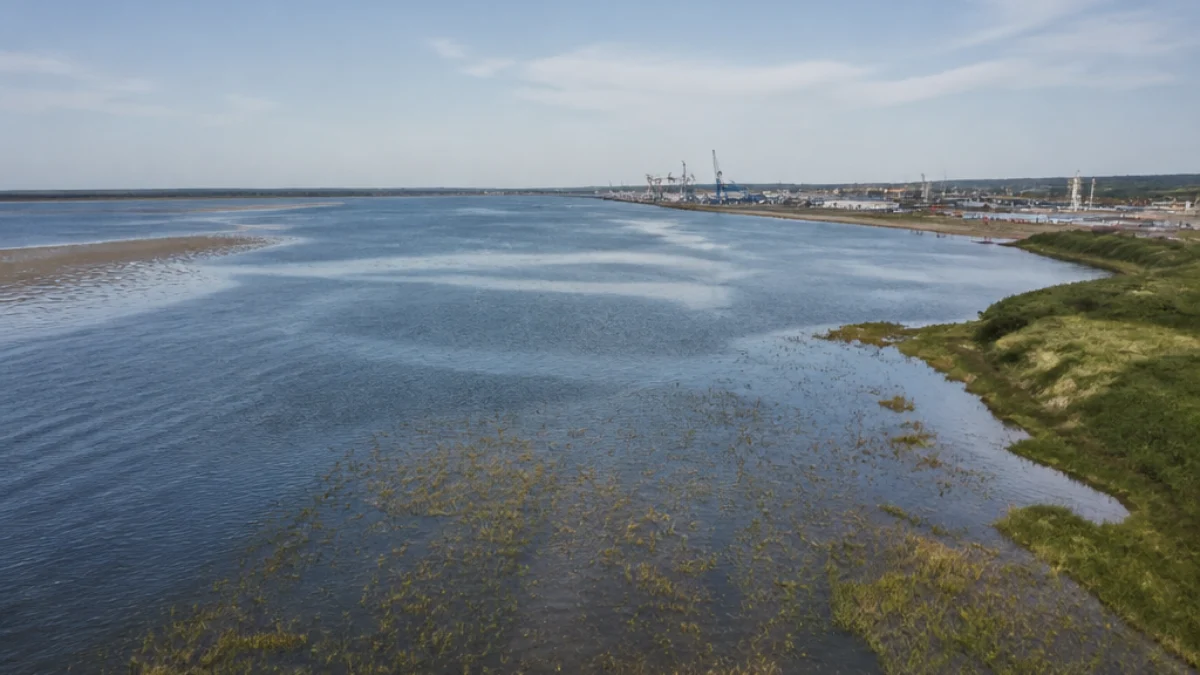 Estuario costiero raggiunto dall’innalzamento del mare
