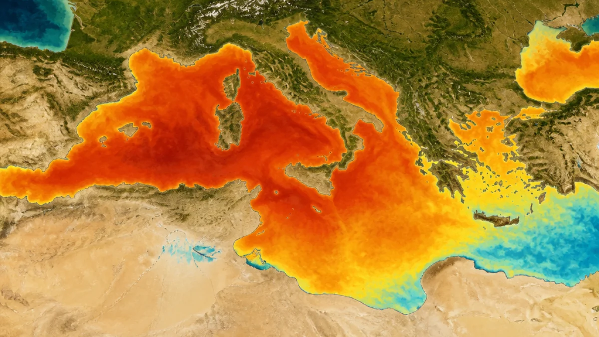 Mediterraneo quasi interamente coinvolto dall'ondata di calore marina