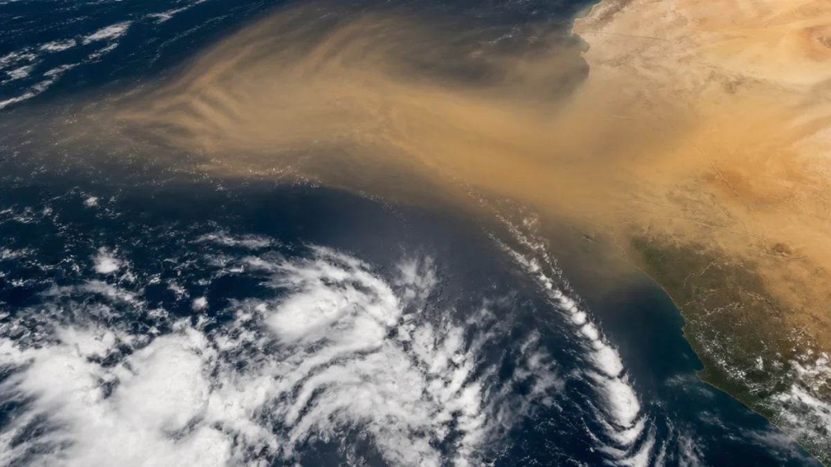 Nube di polvere sahariana sull'Atlantico tropicale