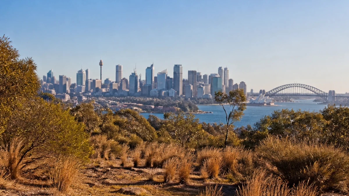 Sydney durante un'ondata di caldo primaverile con vegetazione secca