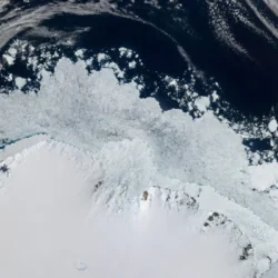 Antartide, il ghiaccio marino ha invertito la fase di crescita stagionale dopo il massimo di settembre