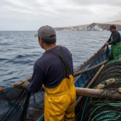 El Niño cambia la pesca nel Pacifico: le pressioni su Perù ed Ecuador