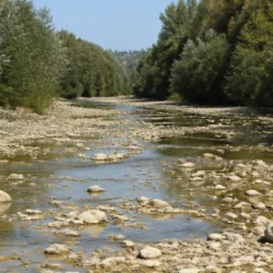 Alveo di un corso d'acqua marchigiano con portata ridotta