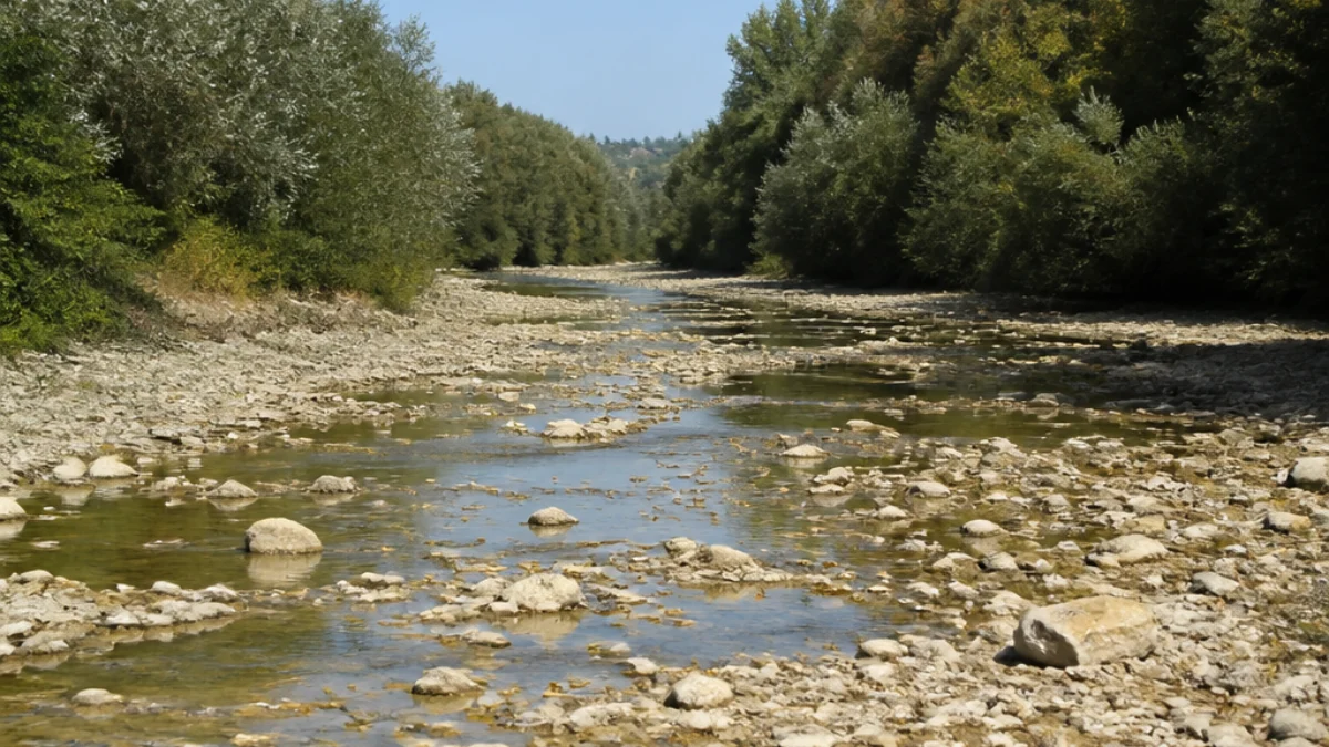 Alveo di un corso d'acqua marchigiano con portata ridotta