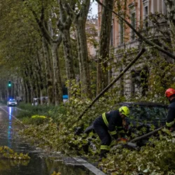 Roma dopo il temporale di giovedì: 120 interventi tra alberi caduti e allagamenti