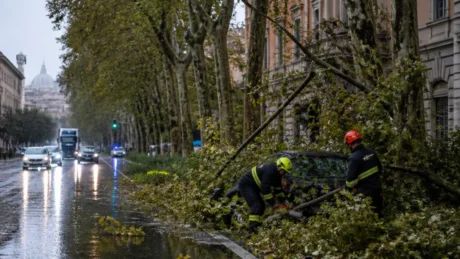 Tra la sera del 7 e la mattina dell’8 ottobre, alberi caduti, infiltrazioni e allagamenti hanno impegnato i soccorritori; i dati disponibili distinguono la Capitale dal litorale.